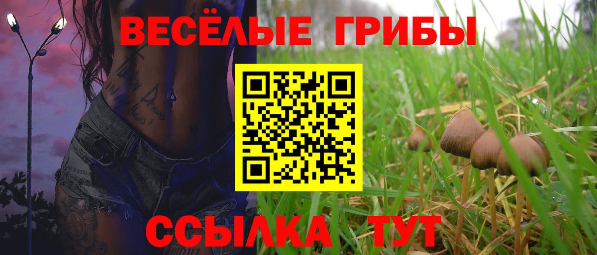 Псилоцибиновые грибы прущие грибы  Вход с VPN  Орёл  Псилоцибиновые грибы мухоморы 