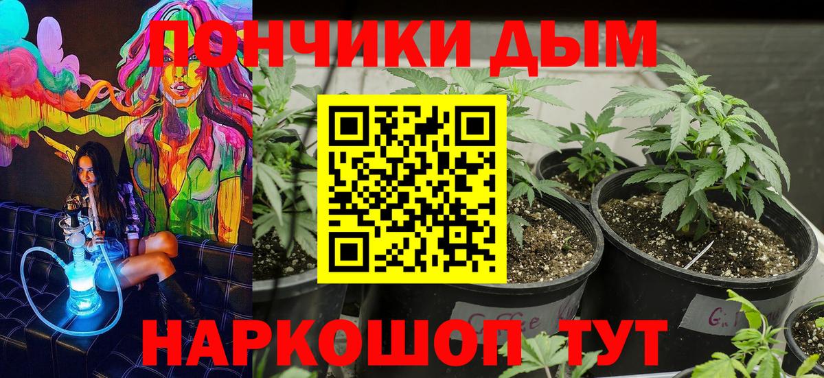 Бошки марихуана тримм  Вход с VPN  Марихуана план  МАРИХУАНА MAZAR  Орёл 